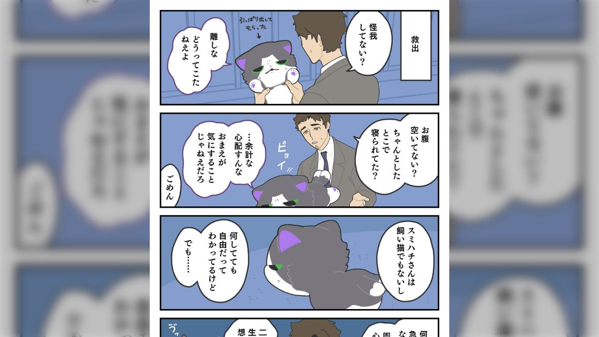 よねかわ様71点まとめ よねかわ様71点まとめ