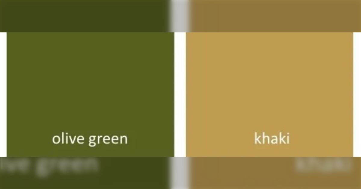 55927690_3