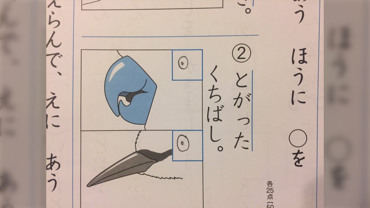 Amazon｜マーナ (marna) 極しゃもじ ホワイト (小/杓文字/日本製