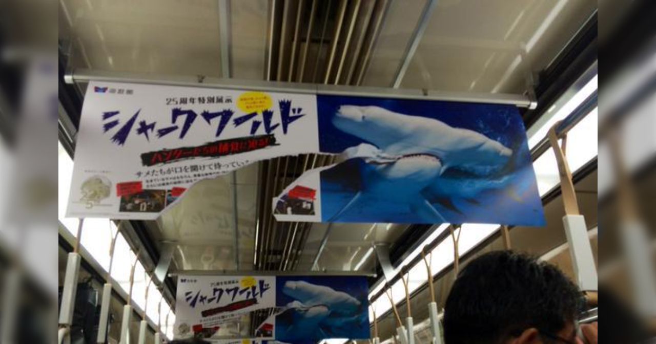中吊り広告が破れているのは誰の仕業!? サメをテーマにした水族館の