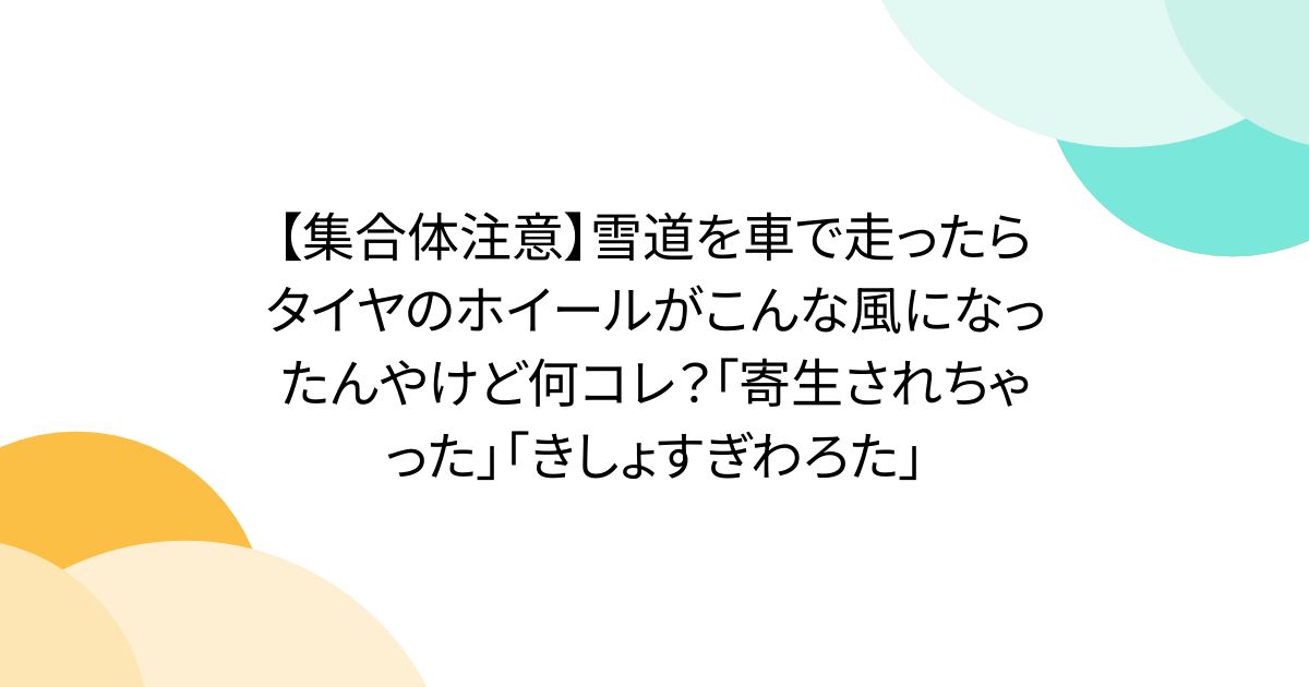 【集合体注意】雪道を車で走ったらタイヤのホイールがこんな風になったんやけど何コレ？「寄生されちゃった」「きしょすぎわろた」