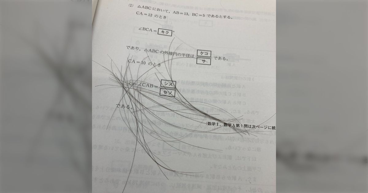 数学を解いているとエグい量の脱毛が起こるんだけどなんかの病気なん？→「円形脱毛の初期症状では？」「ストレスによる抜毛症では？」とリプライで原因の特定がはじまる