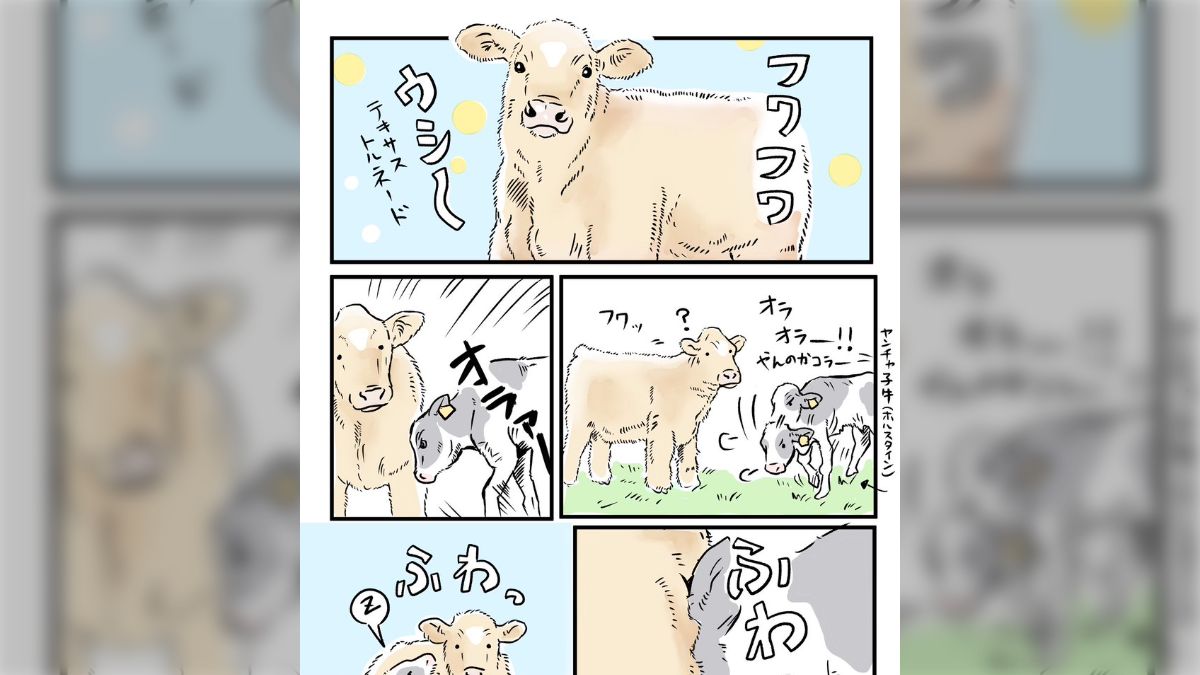 テキサス トルネード