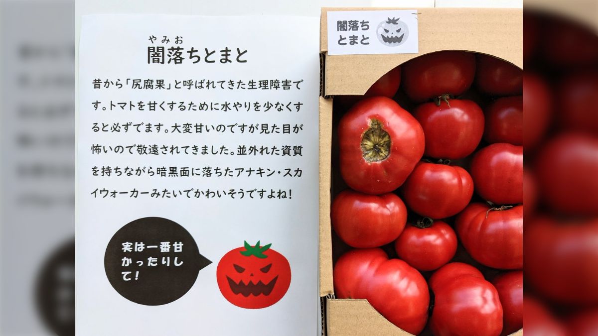 ミニトマト☆様専用です☆ ミニトマト☆様専用です☆