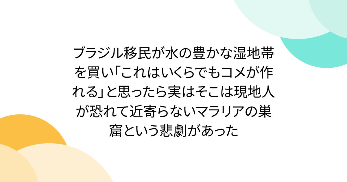 ブラジル移民が水の豊かな湿地帯を買い「これはいくらでもコメが作れる」と思ったら実はそこは現地人が恐れて近寄らないマラリアの巣窟という悲劇があった