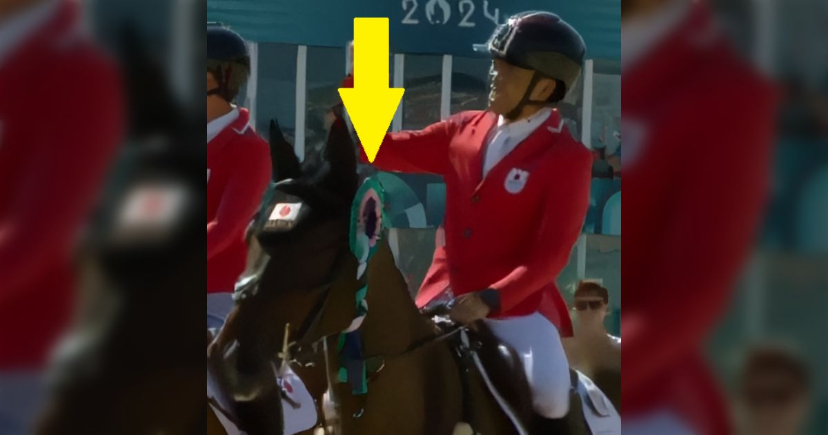 銀色の翼のある馬メダル 桜メダル（80） / メダルの激安販売｜【創業80周年】トロフィー