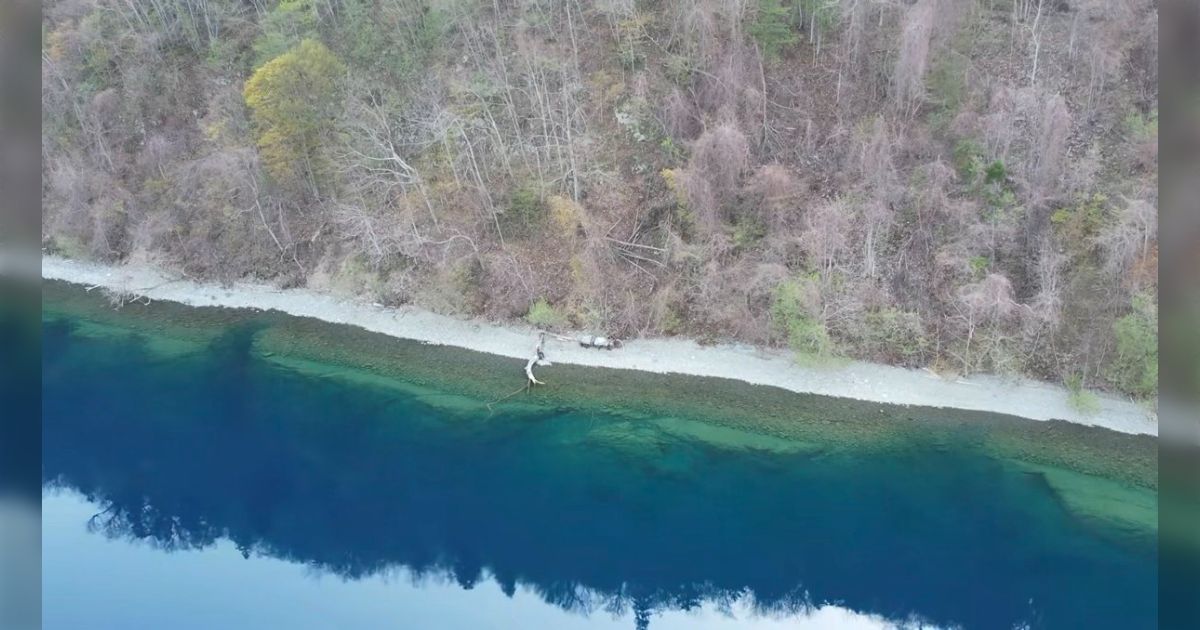 「支笏湖は急に深くなる」とはよく言うが、ほぼ崖じゃないか… 恐ろしい湖だ「なんかゾッとしたわ…」「こんな崖なの知らなかった」