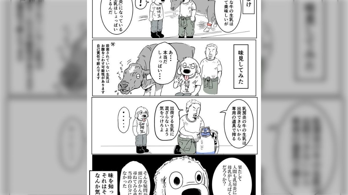 母乳　ロリ 酪農マンガ「『生乳』と『牛乳』の違い」で作者に浮かんだ疑問「人間も乳房炎になると母乳はしょっぱくなるのか」に解答ぞくぞく - Togetter  [トゥギャッター]