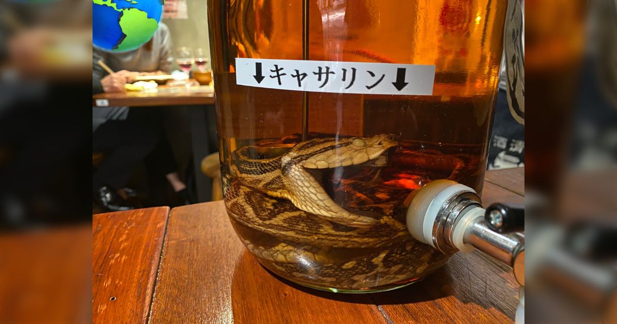 マムシ酒 2瓶 ウイスキー 昭和の時代の物です。