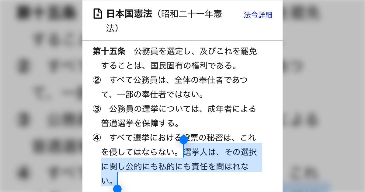 隠岐さや香さん「これで日本に何か起きたら全て自民党とそこに投票した人の責任ということになる」