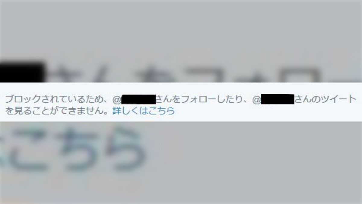 18歳以下はブロック』を掲げる絵師さんにブロックされた人が該当年齢に達した後の処遇についてのお話 - posfie