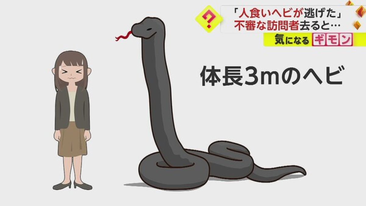 ヘビ関東ページ ヘビ関東ページ 身近な毒のないヘビ｜ジャパン・スネークセンター