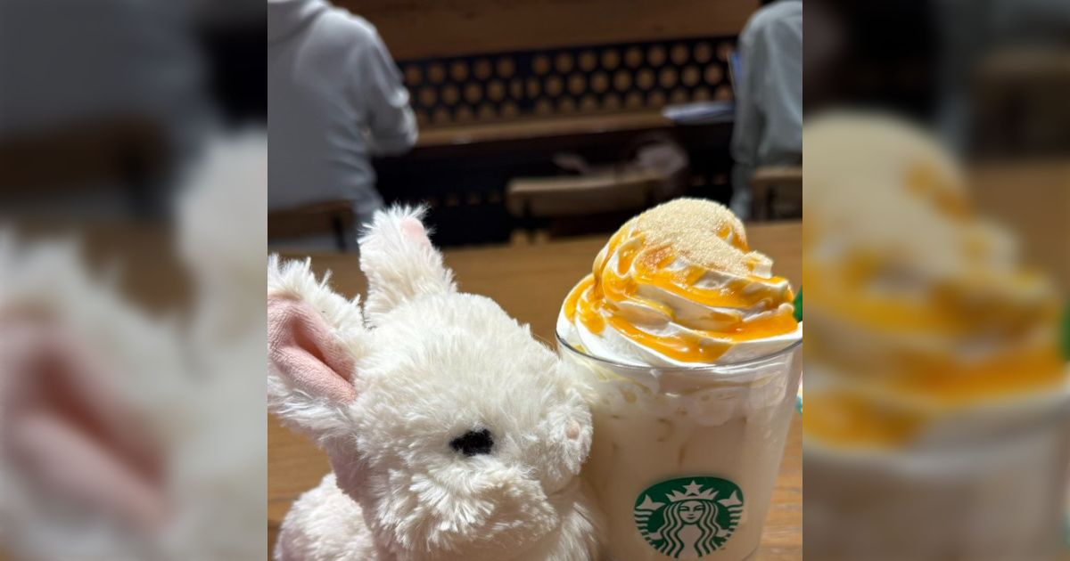 大切なぬいぐるみを不注意で落としてしまった数日後、フリマサイトで売られていたのを発見 果たして…「見つけてもらえるように出品したのかも」「落とし物を出品した?」