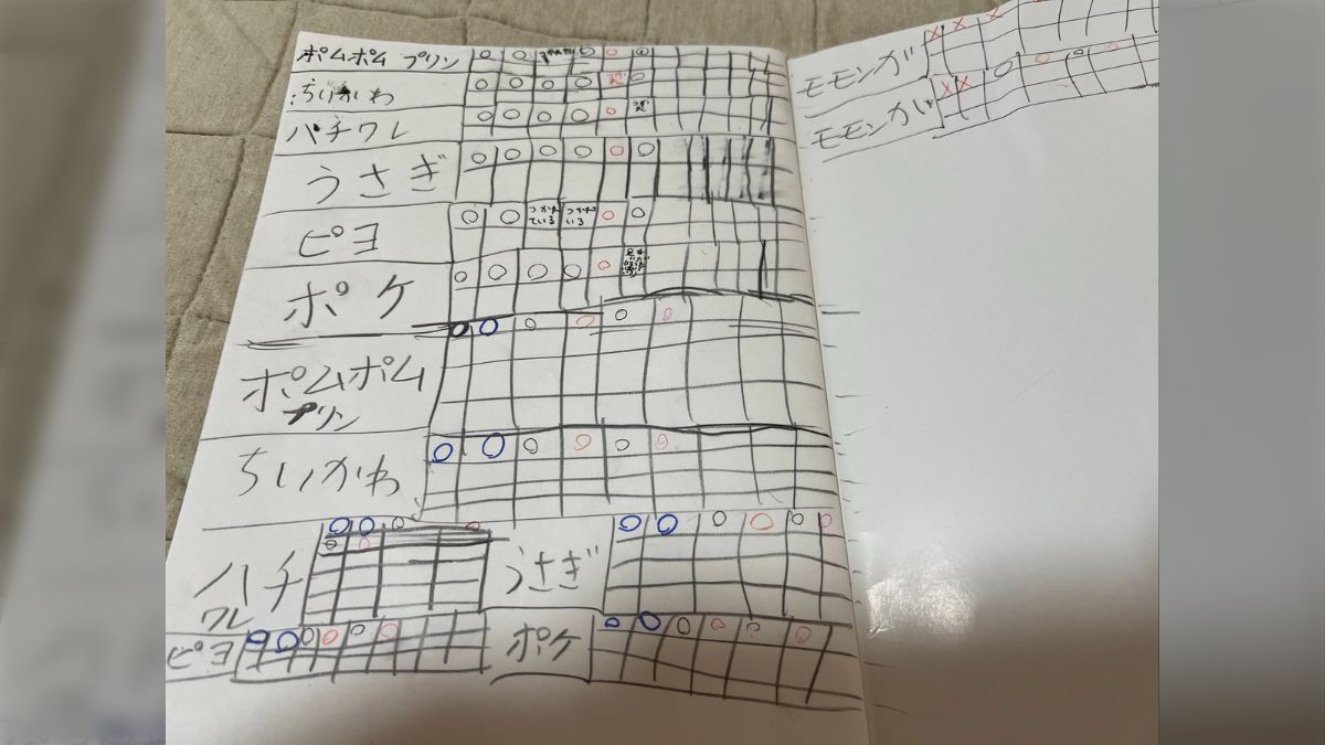 にゃんこがおちている季節 モモンガー様 確認用（娘がぬいぐるみの健康 
