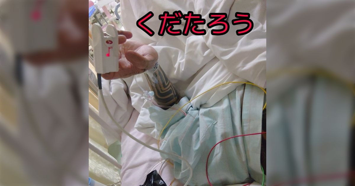 「タトゥーが入っているとMRI検査を断られる」という話に、脳梗塞でMRIを20回以上受けたことのある全身刺青の彫師さんが実体験ベースの考えを共有