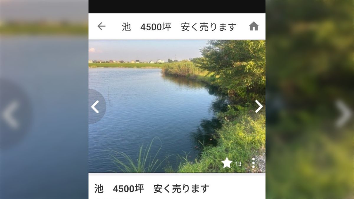 池4500坪、安く売ります」ジモティーに衝撃の巨大物件が出品され、維持 