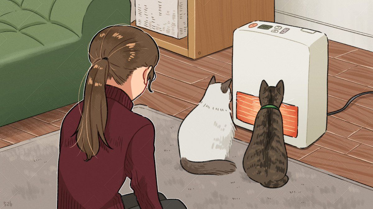 ストーブつけると必ず発生する状況にわかりみ『最前列は常に猫の優先席