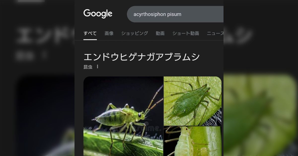 画像が削除されました