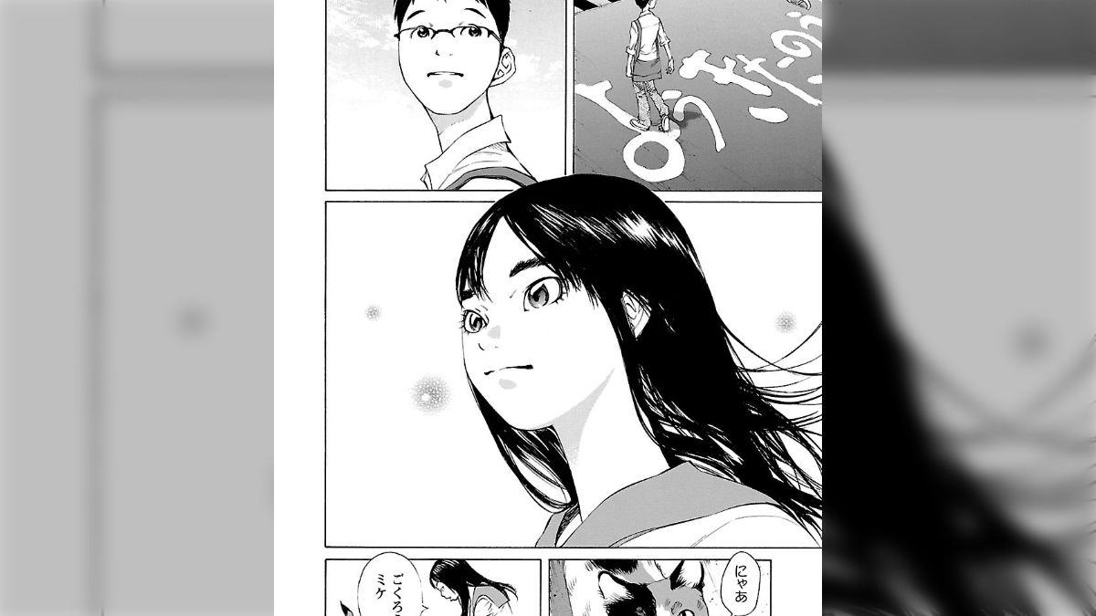 新刊発売記念！】瀬戸内海の小さな島を舞台に女子高生とねことの