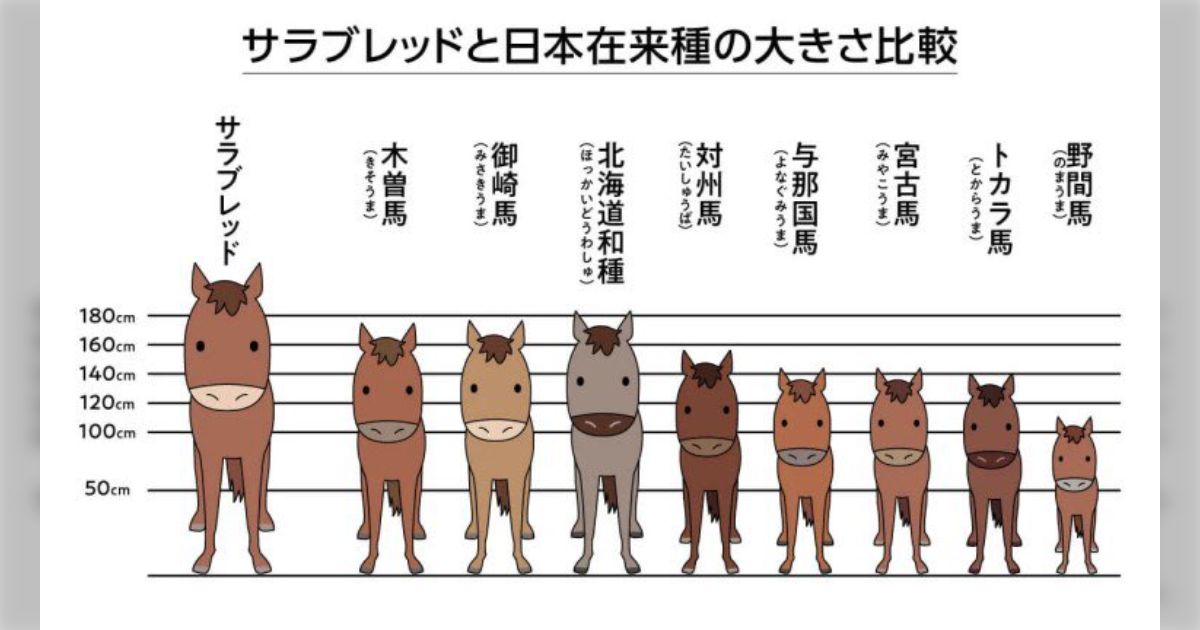 忍たま『軍師』の歴史考証に感動した人が、96年版の映画も鑑賞してみ 