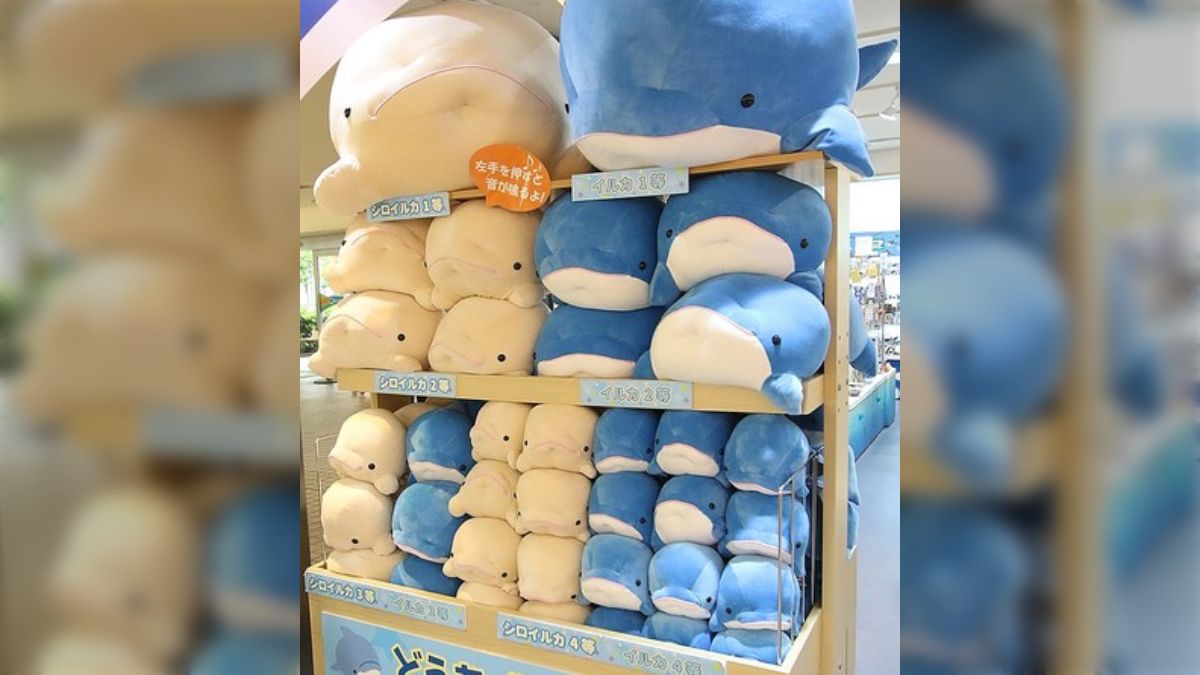 291 ☆イルカのぬいぐるみ（あお） 291 イルカのぬいぐるみ（あお）