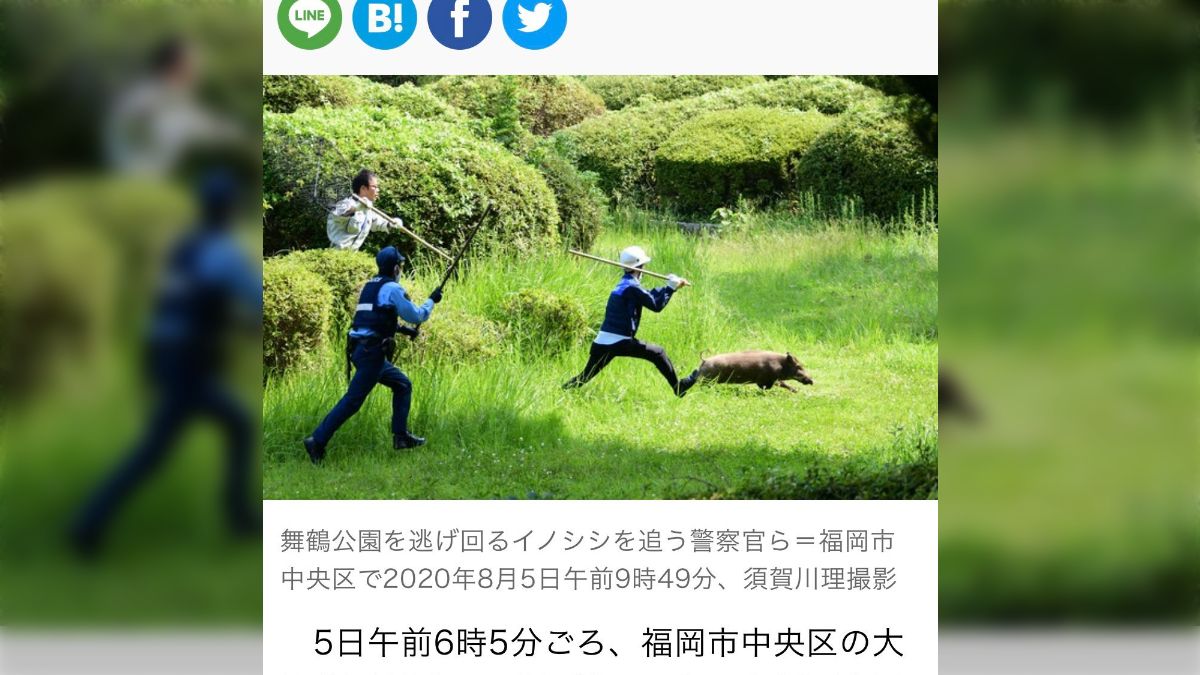イノシシ置物 猪 躍動感 躍進 - メルカリ