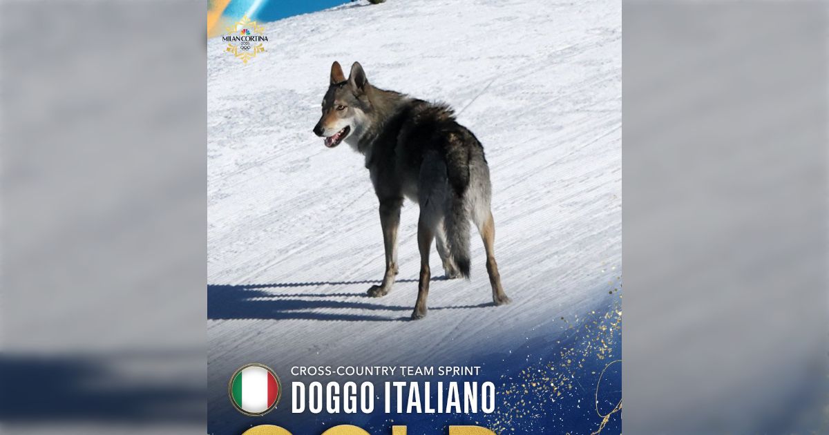 ミラノ五輪のスキークロスカントリーの競技中に犬が乱入して見事にフィニッシュ、何事もなくてほっこり