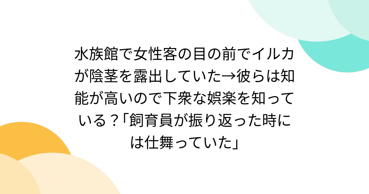 水族館で女性客の目の前でイルカが陰茎を露出していた→彼らは知能が高いので下衆な娯楽を知っている？｢飼育員が振り返った時には仕舞っていた｣