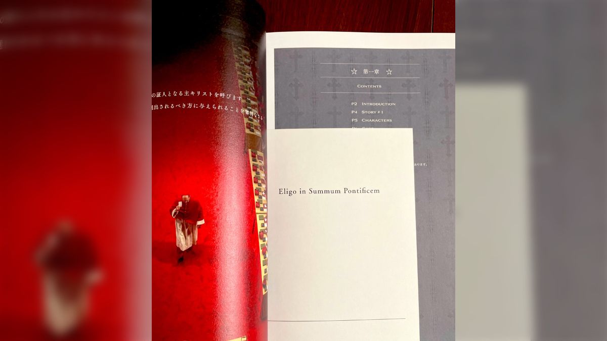 映画 パンフレット 不都合な真実 グッズ Z 映画『チェンソーマン レゼ