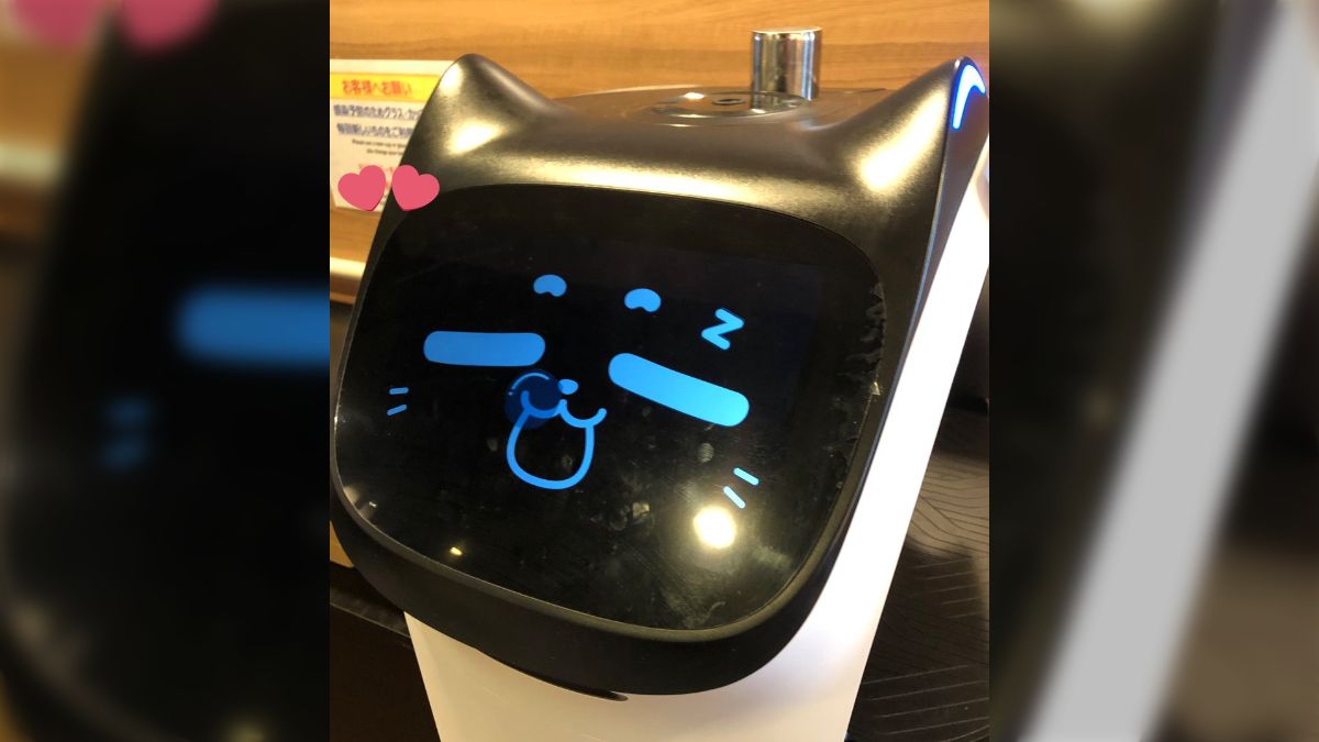 配膳だにゃんロボ ガストの猫ロボット まとめ売り