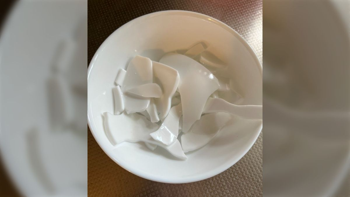 パンまつりの皿、初めて割った…！！』