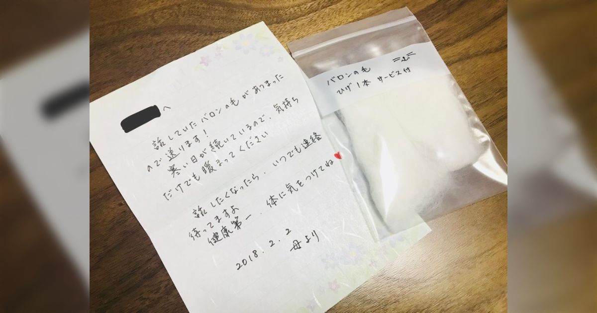 東京寒い」と母親に訴えたら実家の飼い猫の毛とヒゲが送られてきた話に 