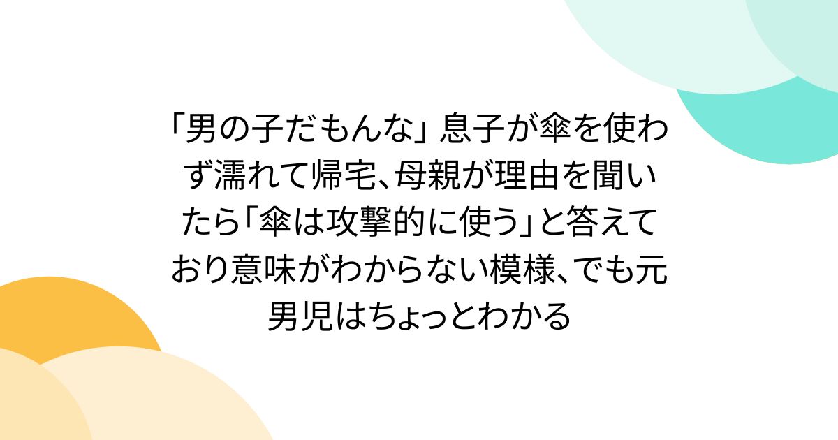 「男の子だもんな」 息子が傘を使わず濡れて帰宅、母親が理由を聞いたら「傘は攻撃的に使う」と答えており意味がわからない模様、でも元男児はちょっとわかる