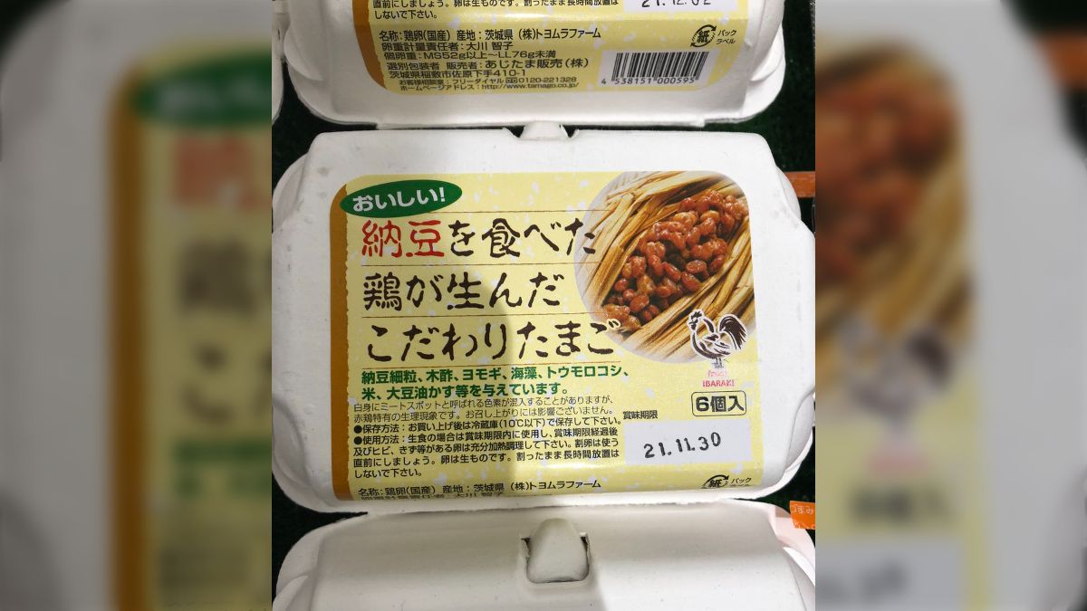 モフモフ•*¨*•.¸♬︎様ご専用 （Mofumofu様ご専用最長2/25日までお  