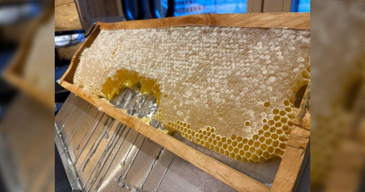ホテルの朝食でかなり贅沢なものが食べられた「巣箱から削り取るハチミツめちゃくちゃうまい」 - Togetter
