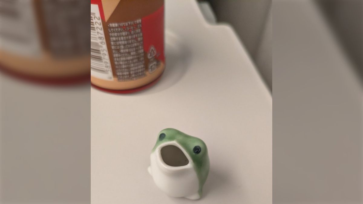 陶器屋で売られていたカエルを眺めてたら、ご主人が話しかけて