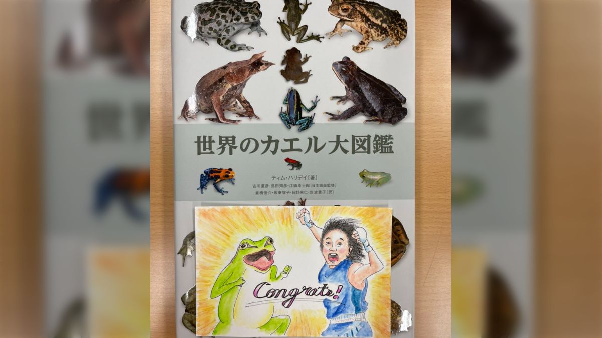 世界のカエル大図鑑 / ティム ハリデイ 〔図鑑〕（商品説明