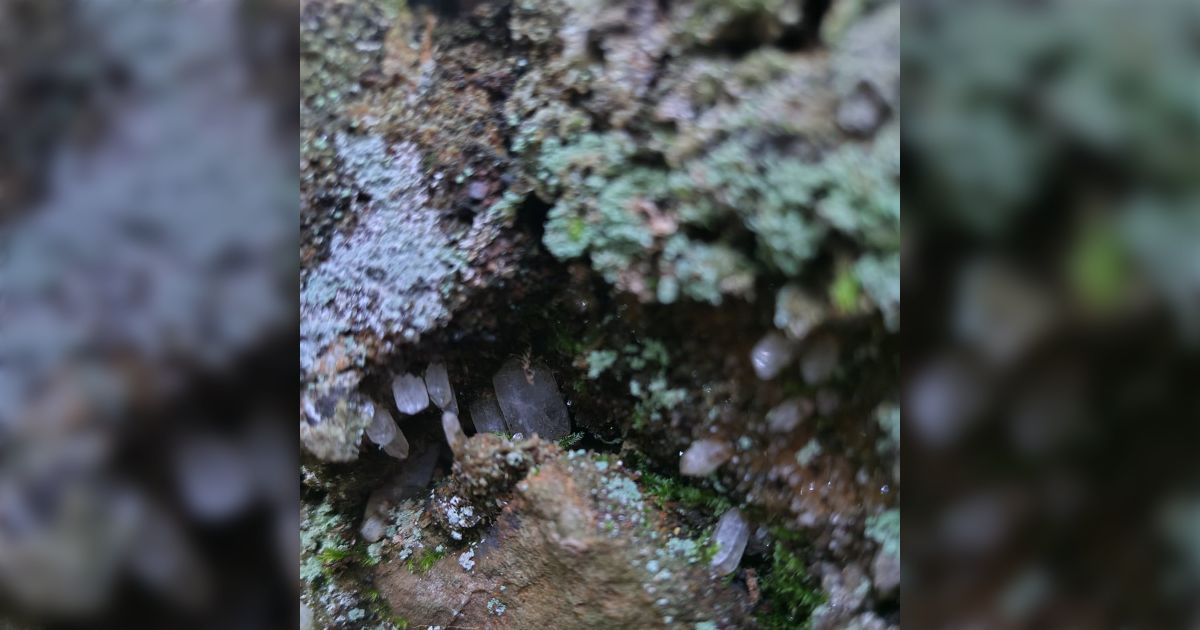 「この山にはすごい水晶脈の壁がある」と言っていた長老が急死され、場所が誰にも分からなくなった…しかし伝聞を元に探して、ついに見つけた水晶脈「リアル瑠璃の宝石だ」