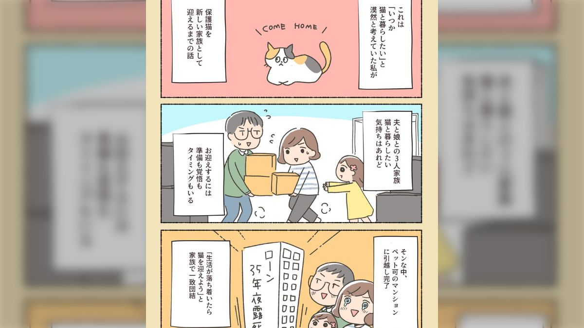漫画「保護猫ちゃんを家に迎えるまでの話」が泣けるし勉強になるし猫 