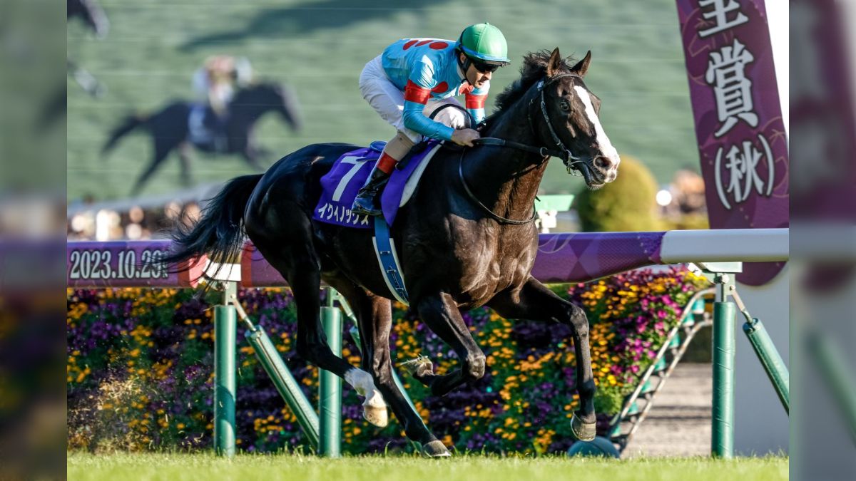 20231029】競馬法100周年記念 第168回天皇賞(秋) (4ページ目 