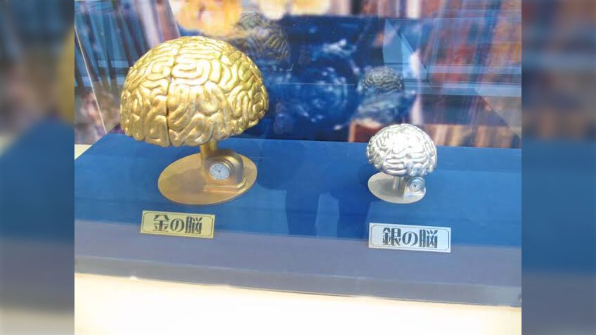 トリビアの泉』金の脳、銀の脳を実際に持ってる人は見つかるか