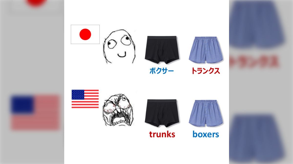 ボクサー パンツ トランクス 違い
