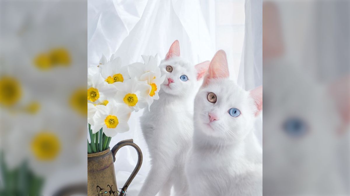 893e86f92c7435712d2c655b61d6db