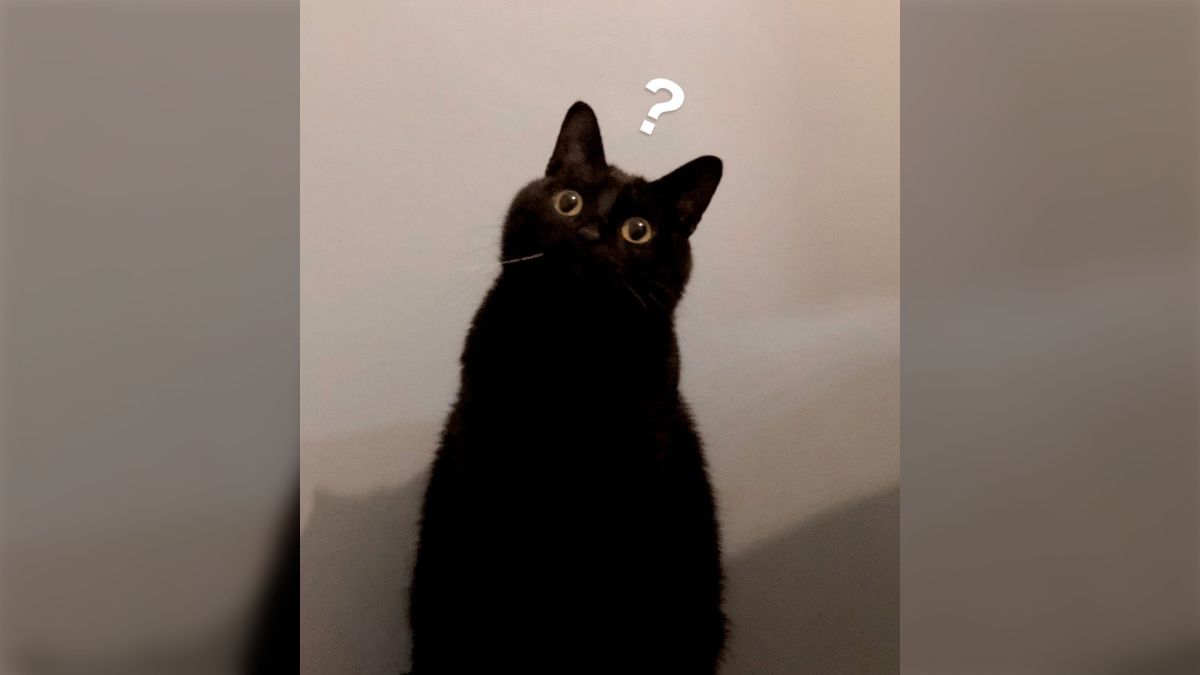 健康診断で12時間絶食のため「突然ド深夜に起こされて、わけもわからず