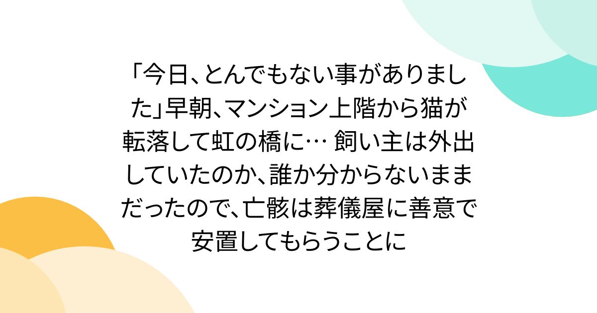 「今日、とんでもない事がありました」早朝、マンション上階から猫が転落して虹の橋に… 飼い主は外出していたのか、誰か分からないままだったので、亡骸は葬儀屋に善意で安置してもらうことに
