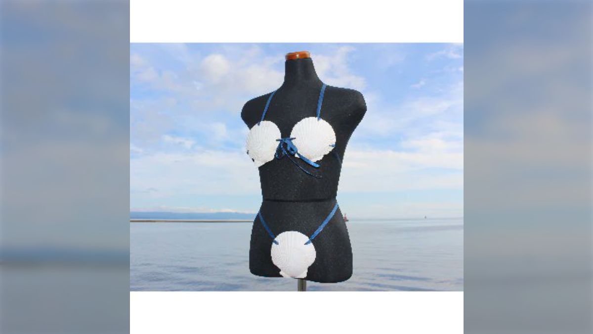 ほたて水着 ほたて水着