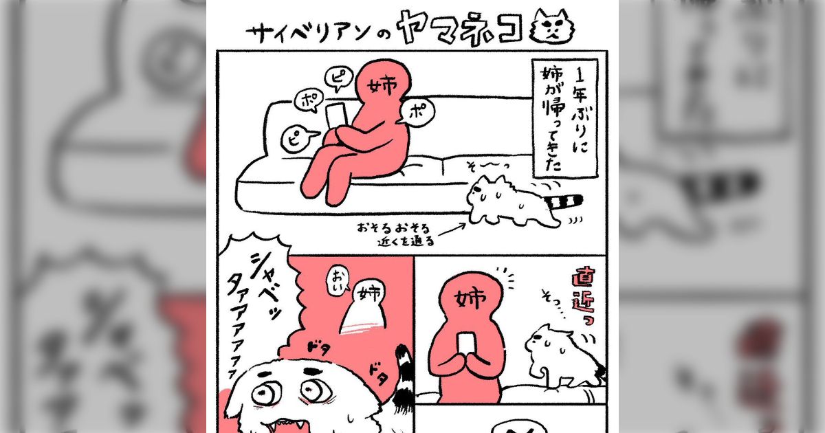 一年ぶりに帰ってきた姉と警戒しまくる猫さんがだんだん距離を縮めていく過程が面白くてもう「表情が豊かすぎる」