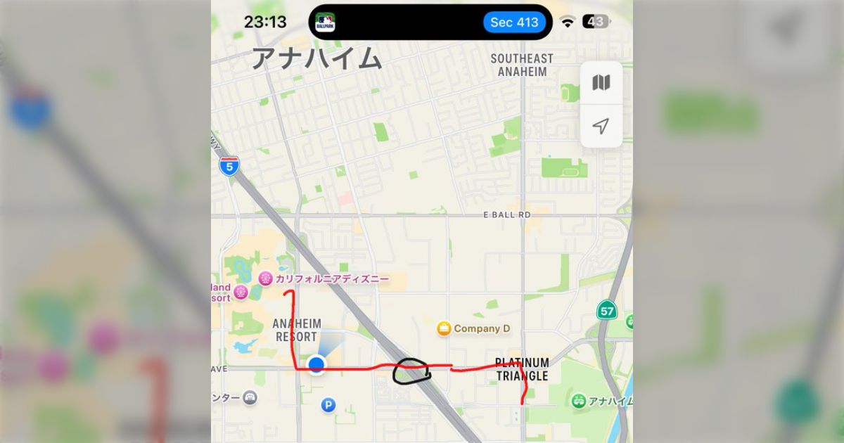 「アナハイムでディズニー戻る途中で襲われました」という投稿、詳細を知るほどに「よくぞご無事で…」と血の気が引く内容だった「そこはマジで危険地帯」