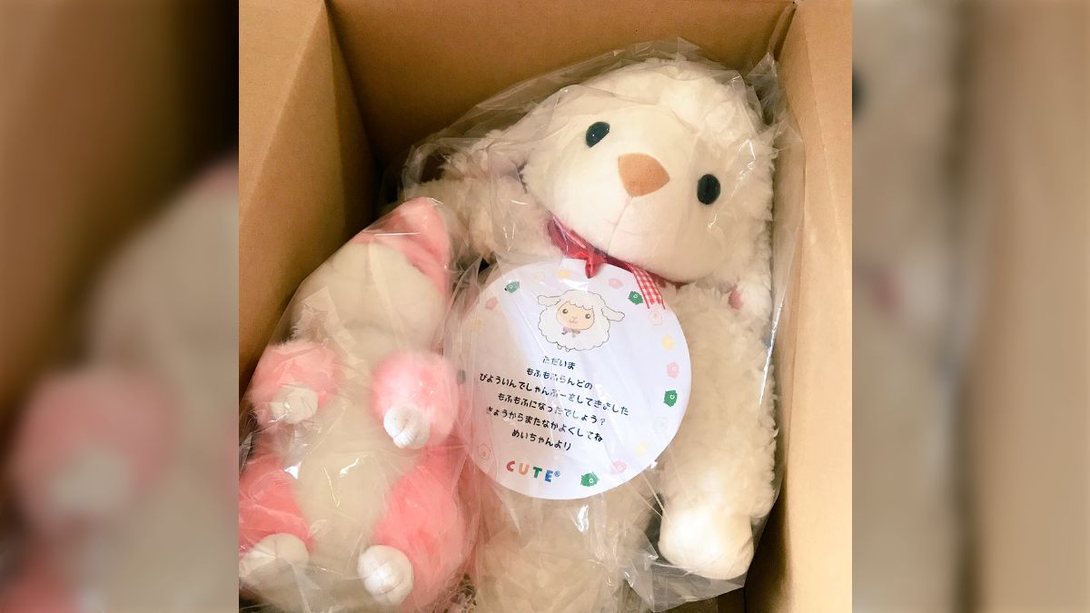 8f4d373e0e06077fc2eb6f5b1750e2