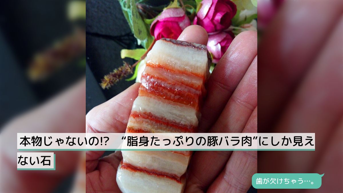本物じゃないの!? “脂身たっぷりの豚バラ肉”にしか見えない石 - Togetter